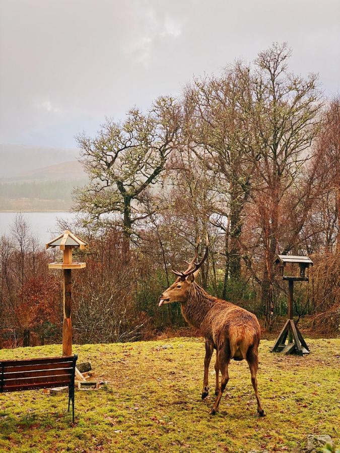 פורט ויליאם Tarmachan Cottage - West Highland Getaway מראה חיצוני תמונה